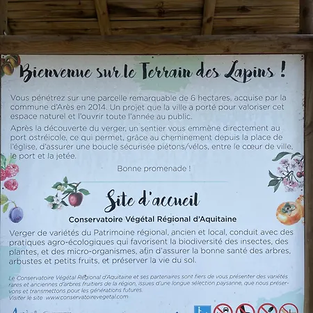 T2 Renove Avec Balcon, Proche Et Commerces