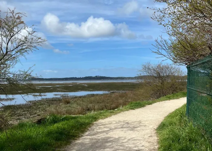 아파트 T2 Renove Avec Balcon, Proche Et Commerces